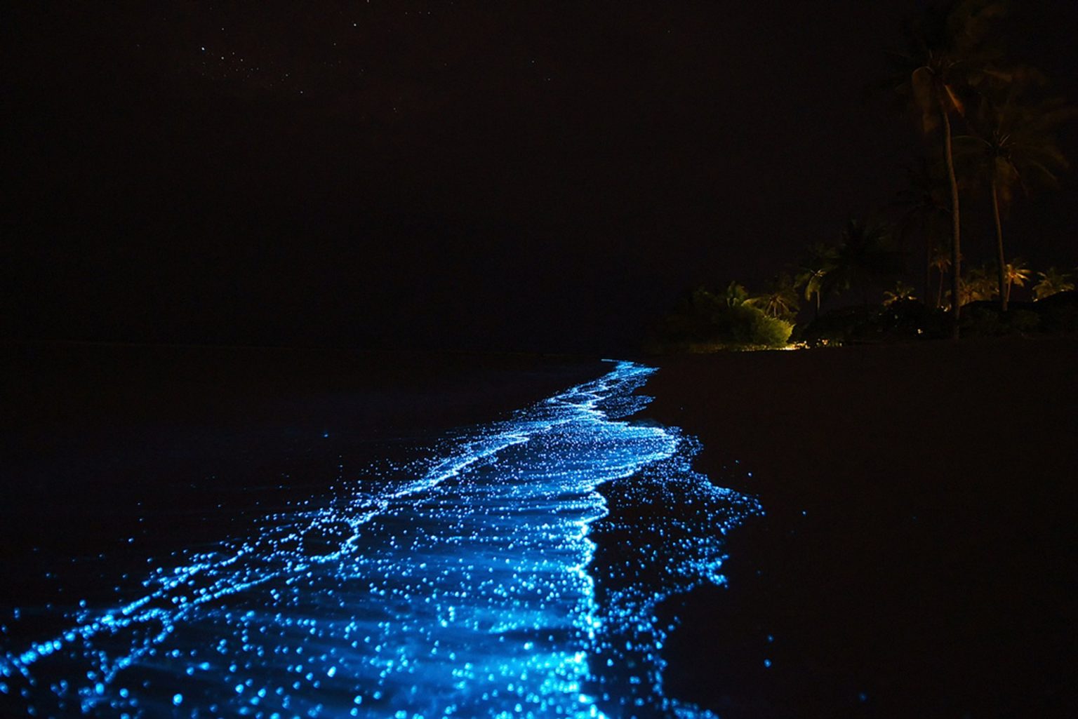 vaadhoo-island-maldives-glow-in-the-night-beach