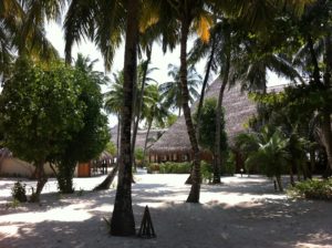 Alimatha Aquatic Resort public areas