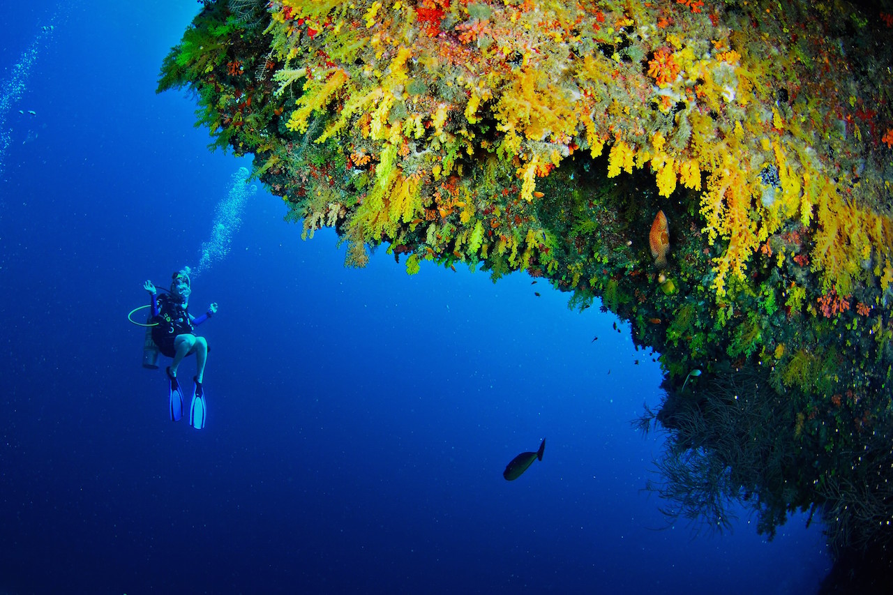 The Golden Wall House Reef , Anantara Kihavah Villa