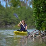 Mangrove canoe trip by Pebbles Inn