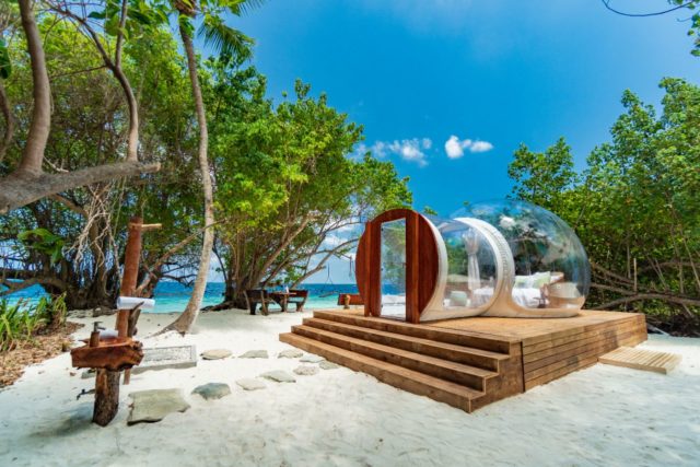Glamping Experience - Amilla Maldives