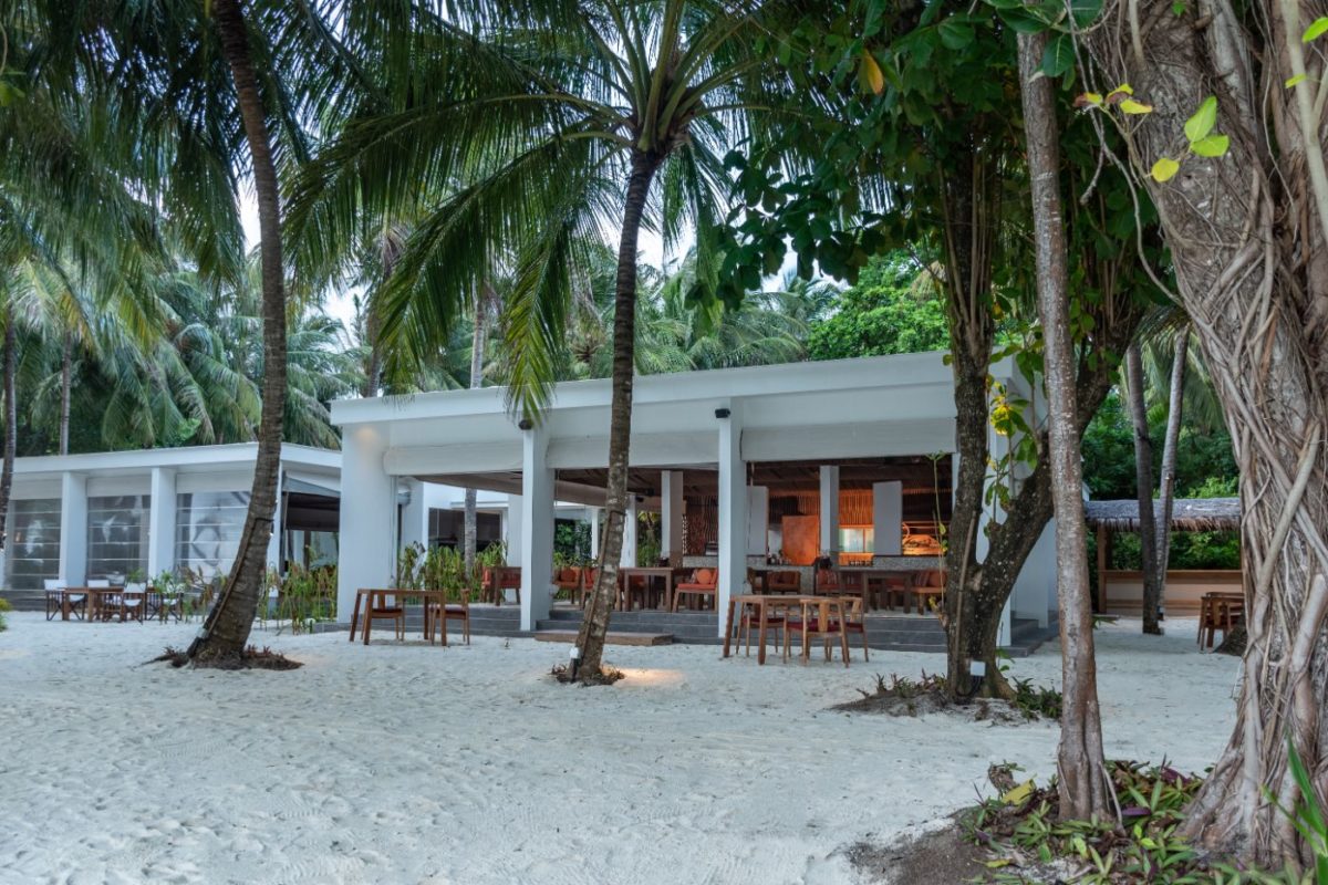 Chill'd Cafe - Amilla Maldives